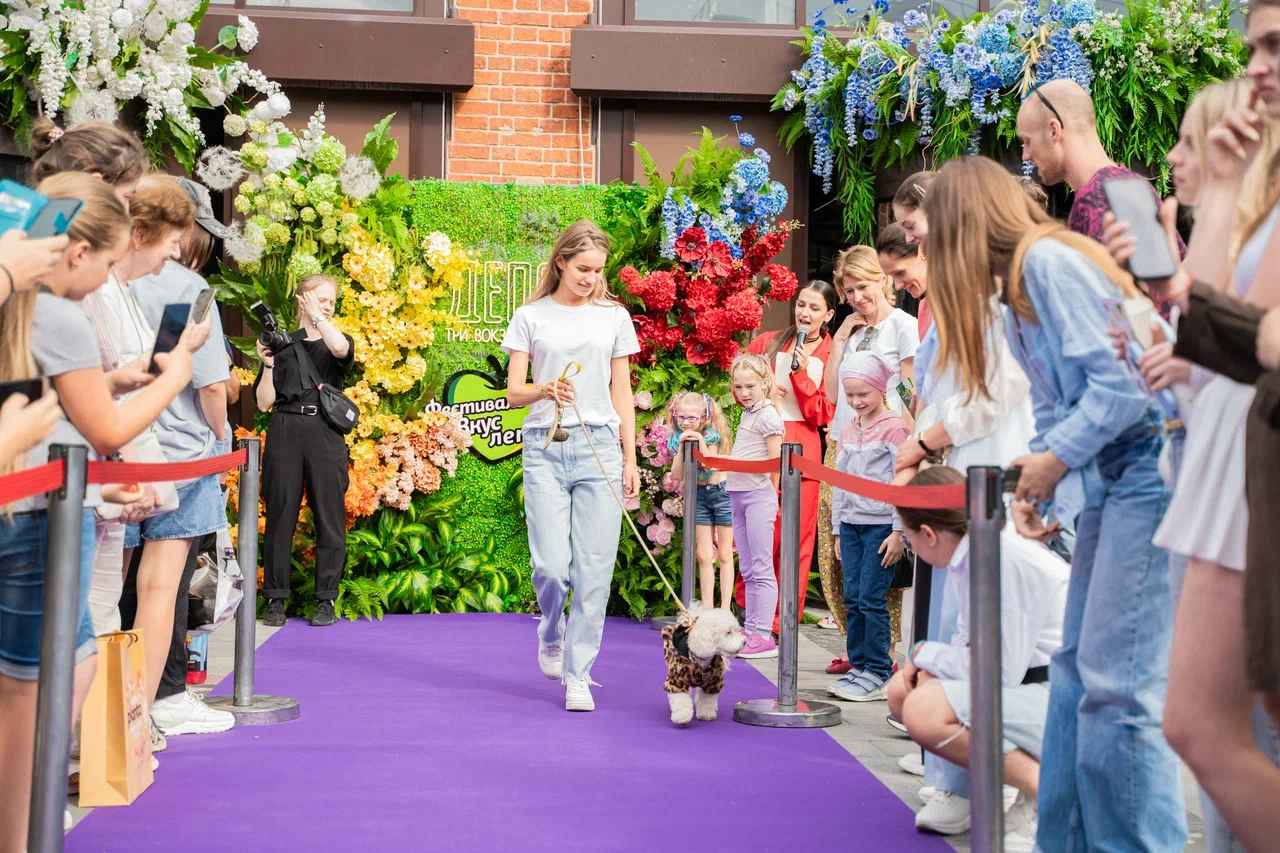 Гастрофестиваль