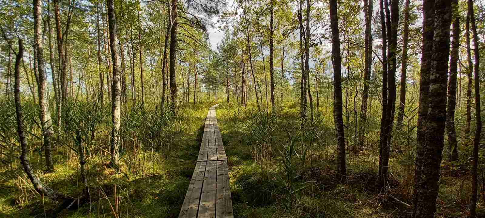 Полистовский заповедник