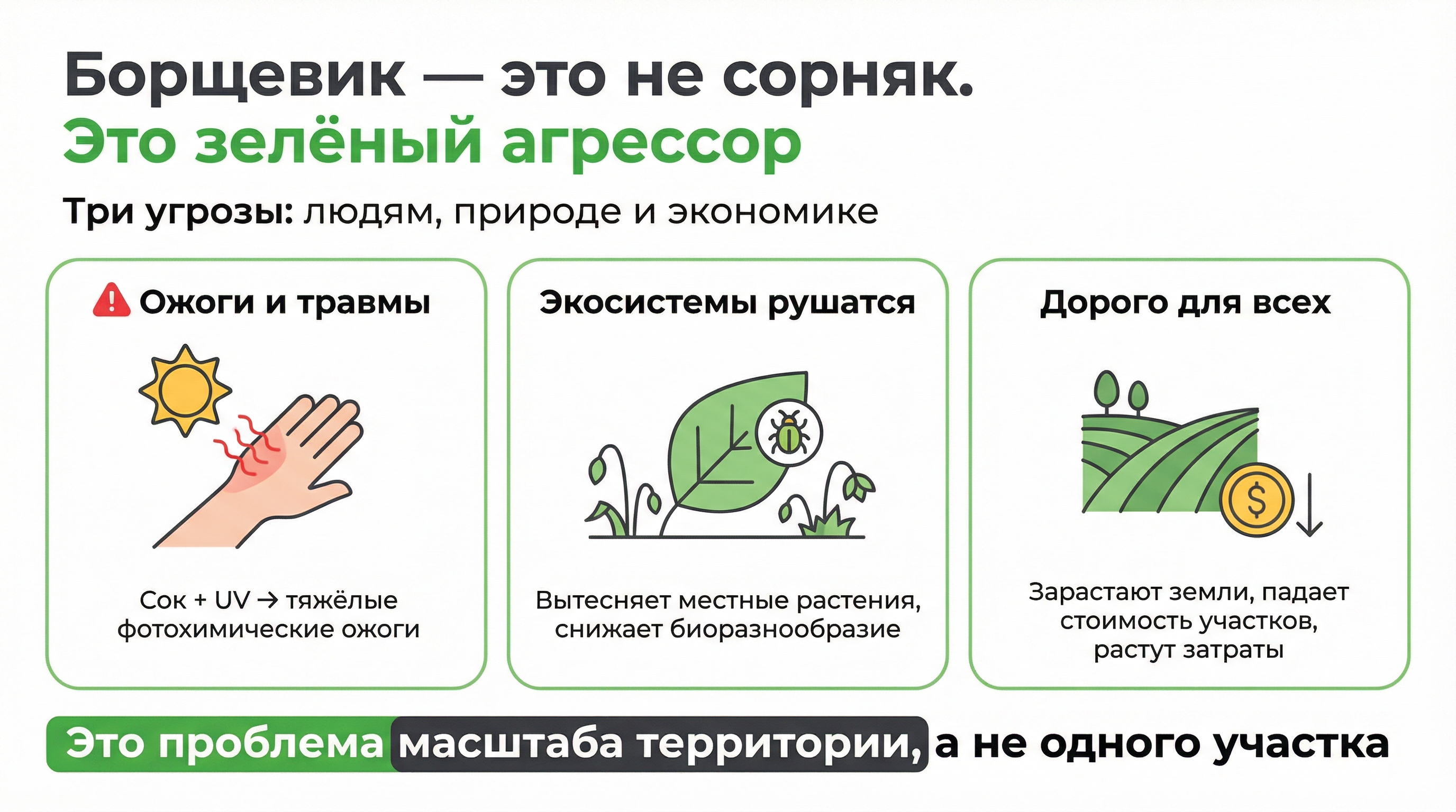 Борщевик - это не сорняк, это зеленый агрессор