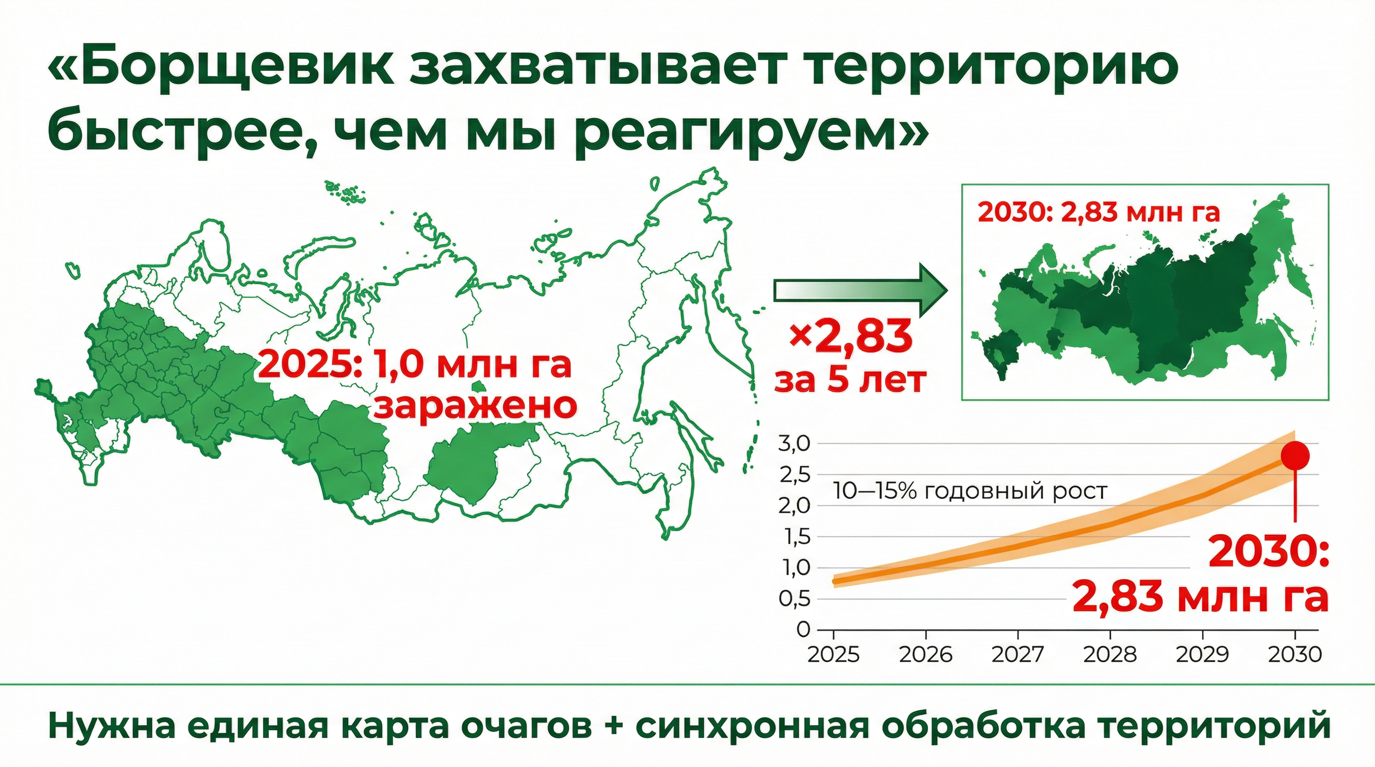 Борщевик захватывает территорию быстрее, чем мы реагируем