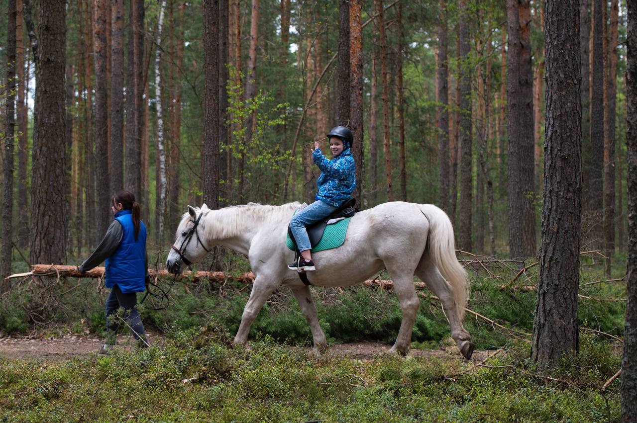 БФ Шеридарь