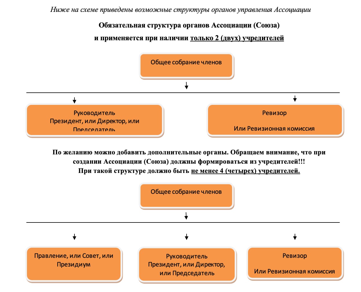 Обязательная структура органов управления Ассоциации (союза)